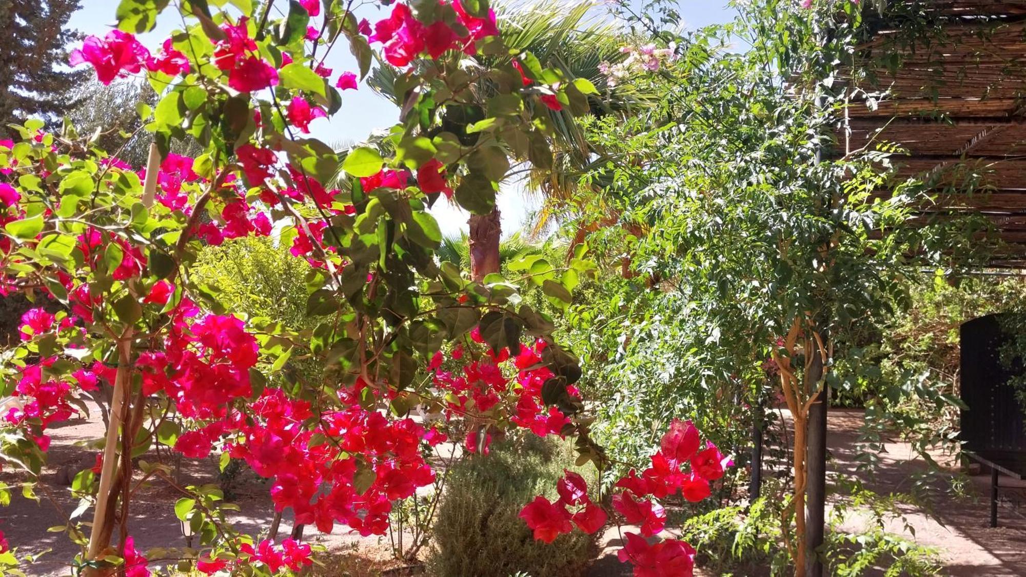 Auberge Bassou Nkob Exteriér fotografie
